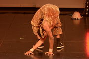 images/album/African05.jpg
