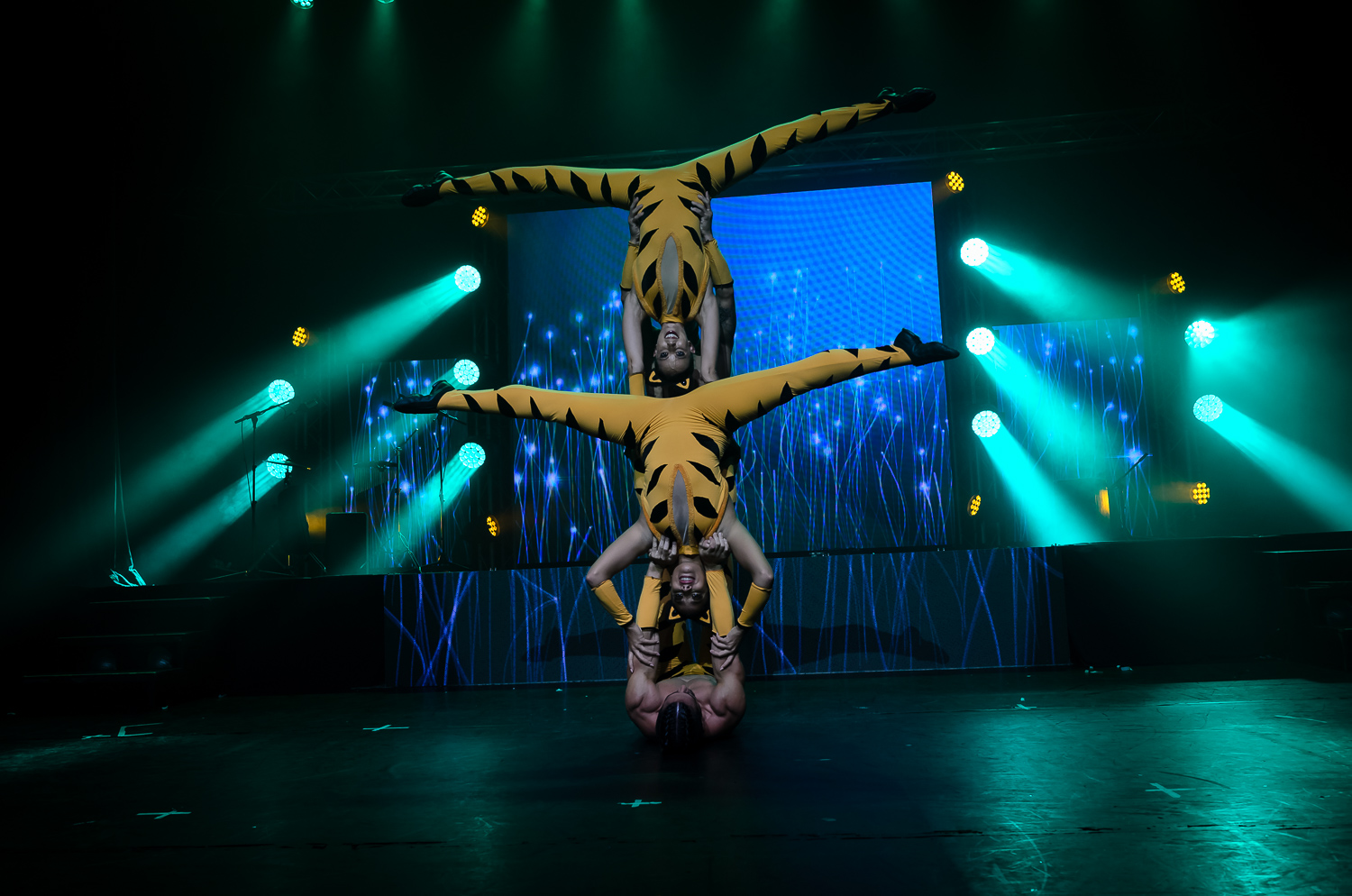 Romantic Showcase 2018